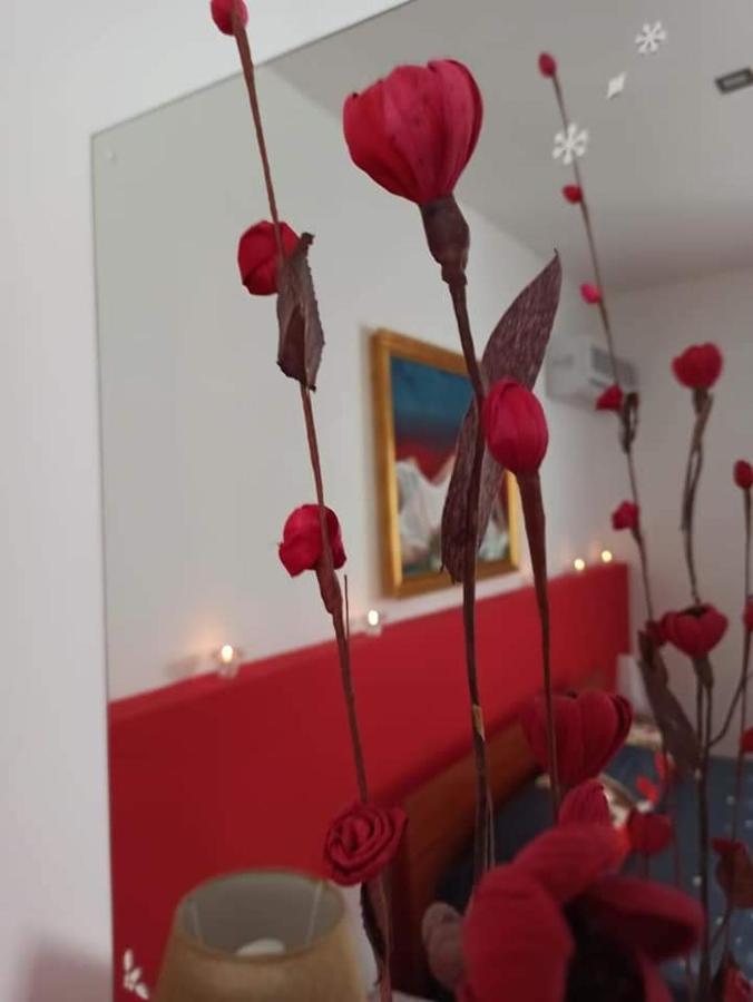 B&B Omer Шака Екстериор снимка